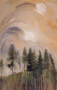 Young Pines and Sky
